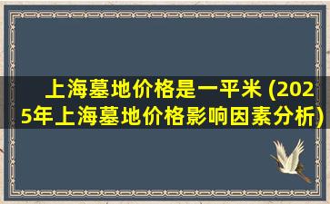上海墓地价格是一平米 (2025年上海墓地价格影响因素分析)